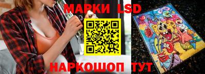гашик Донской