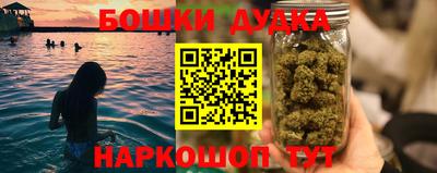 apvp Дубна