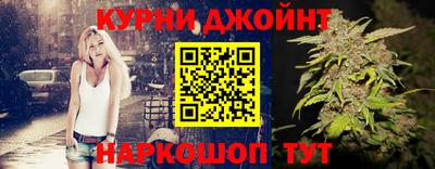 гашик Донской