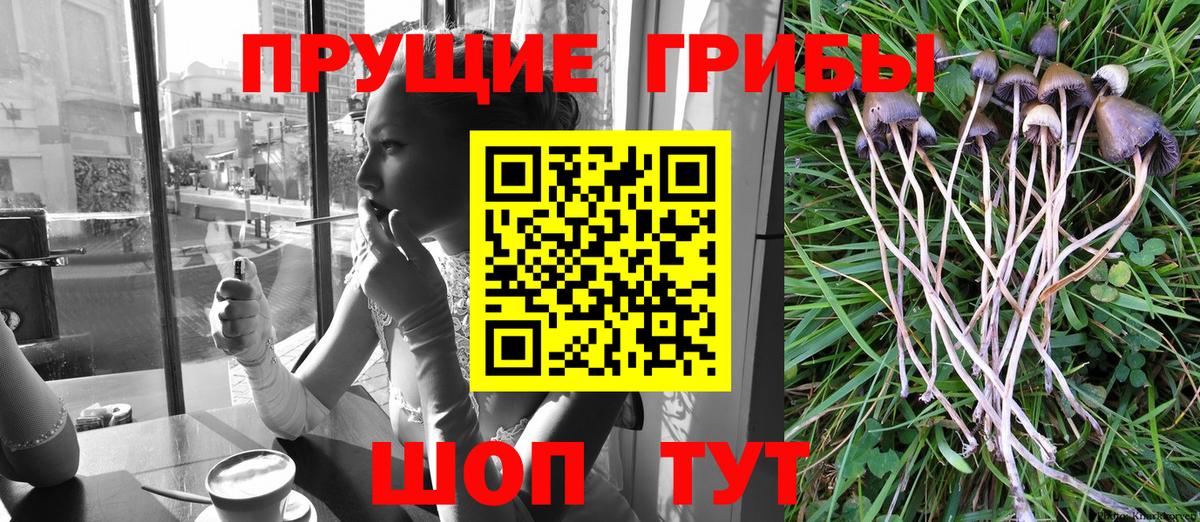 Псилоцибиновые грибы Magic Shrooms  Вход с VPN  как найти закладки  Сочи 
